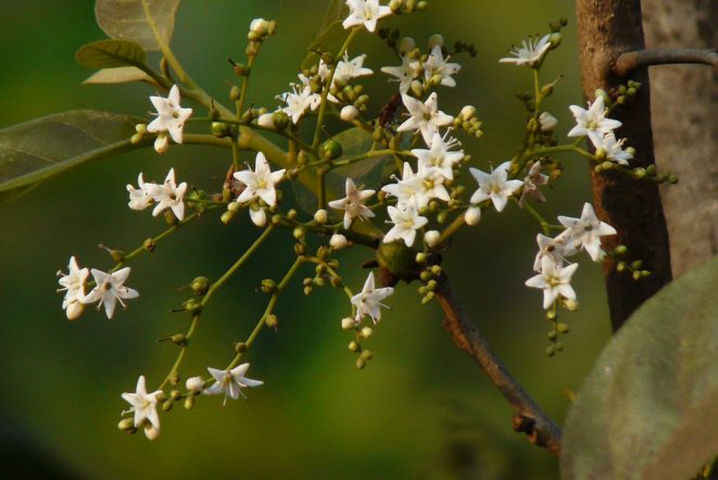 3184336839_d388a1a68e_b